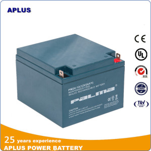 Lead Acid Power Deep Cycle VRLA Solar UPS Batteries 12V24ah